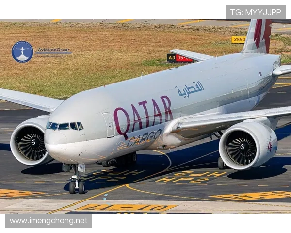 卡塔尔世界杯2022年（卡塔尔世界杯2022年波音777飞机玩具）世界杯体育论坛